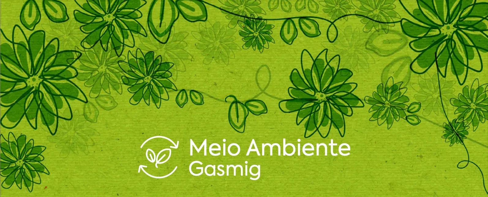 semana do meio ambiente